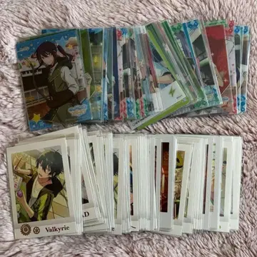 앙스타 파샤코레 파샤츠 묶음 판매