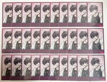 니지산지 Oriens 사에키 잇테츠 폴라로이드 30장 세트