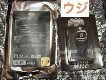 SEVENTEEN HOME 아크릴 키링 우지