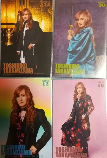 THE ALFEE 타카미자와 토시히코 트레이딩 카드