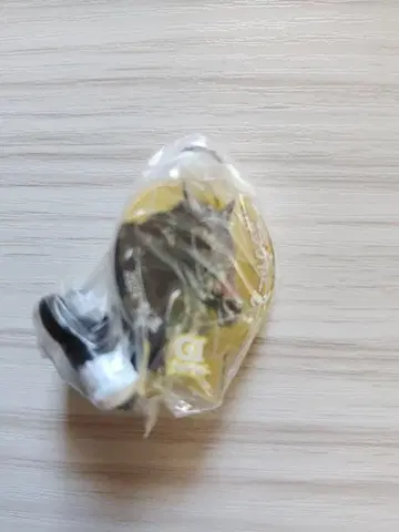 아이돌 호스 미니 컬렉션 Vol.41 2024년 은퇴 샤프리야르