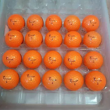 로스트볼 Trust PANTER 20구