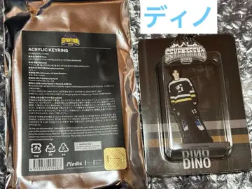 SEVENTEEN HOME DINO 아크릴 키링