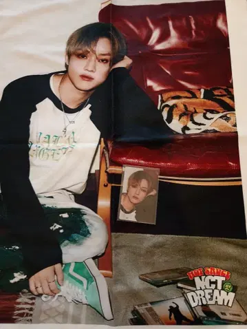 정로 패브릭 포스터 hot sauce 트레이딩 카드 포함 레어