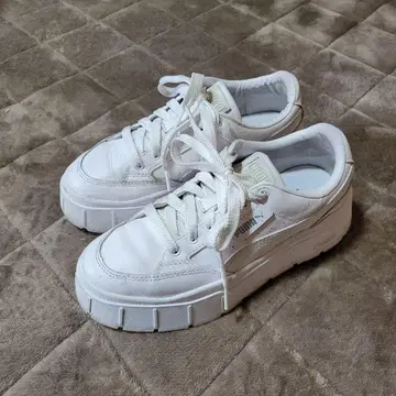 24cm PUMA MAZE STACK 푸마 메이즈 스택