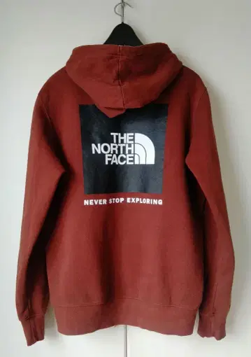THE NORTH FACE 레어 컬러 브라운 오버 사이즈 후드티