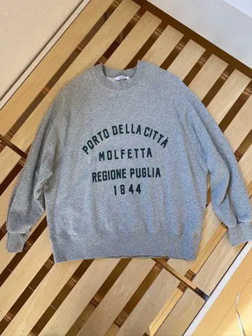 새상품급 저널 스탠다드 레리움 래글런 슬리브 로고 맨투맨