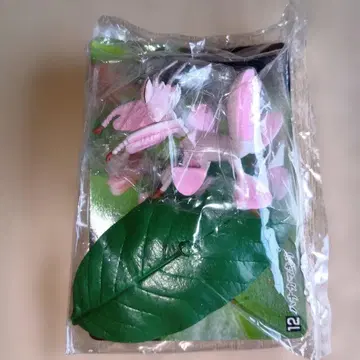 하나사마귀 피규어 미개봉