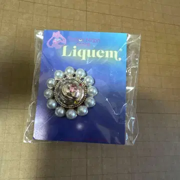 세일러문 스토어 한정판 리큐엠 변신 브로치 핀즈