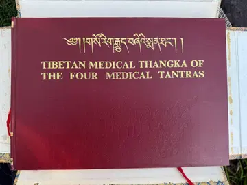 레어 티베트 의학 서적 빈티지 요가 명상 건강