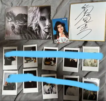 AmAmp 스가 쿄스케 폴라로이드 10장 브로마이드 씰 사인 세트 판매