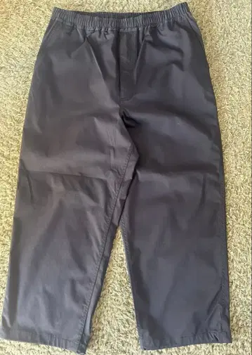 다이와 피어39 테크 트윌 이지 트라우저 L