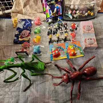 최종 가격 인하 피규어 묶음 판매, 더 늘어날 수도 있음