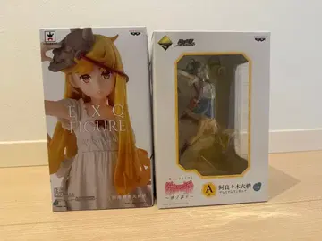 EXQ 피규어 & 아라라기 카렌 피규어 세트 시노비