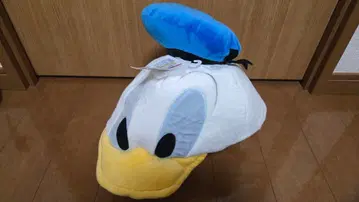 도널드 덕 팬 캡