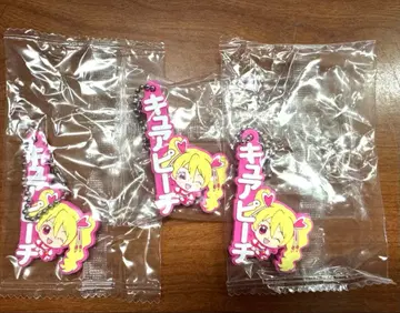 프리큐어 가챠가챠 네임 컬렉션 러버 체인 스트랩