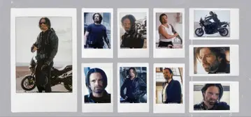 세바스찬 스탠 버키 포토 카드