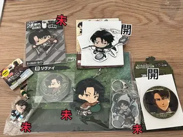 진격의 거인 리바이 병장 세트