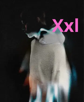 SKYLRK REVERSE HOODIE size xxl