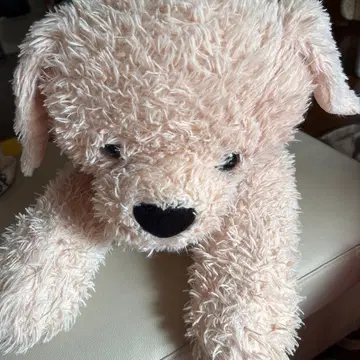 코스트코 강아지 봉제 인형