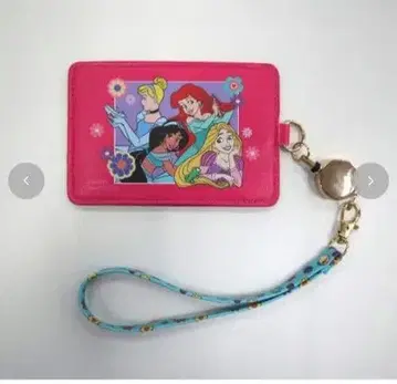 패스 케이스 디즈니 프린세스 시마무라 리토시 LINK@ 링크앳