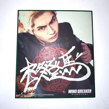 윈드브레이커 색지