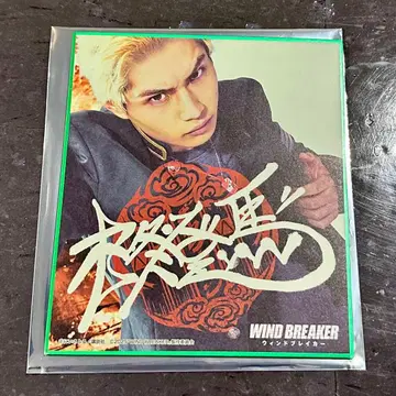 윈드브레이커 히이라기 색지