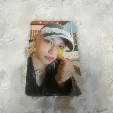 피리 트레이딩 카드