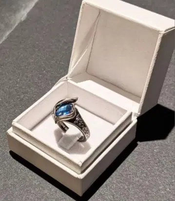 옥토패스 트래블러 0 컬렉터즈 에디션 특전 성화신의 반지 21호