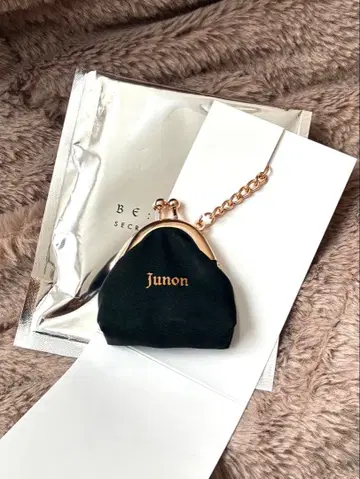 BEFIRST 준논 코인 케이스