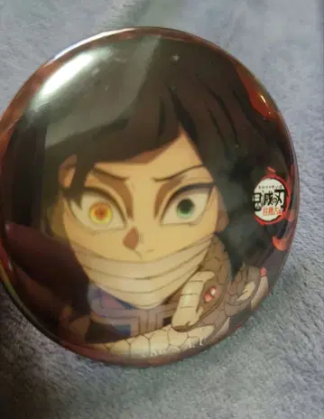 귀멸의 칼날 기둥 연습편 이쿠로 오바나이 캔뱃지