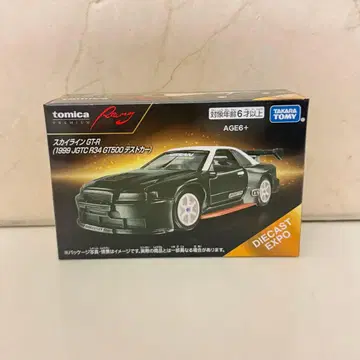 스카이라인 GT-R 1999 JGTC R34 GT500 테스트카