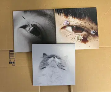 찬찬 혼자서, 축제, 축제 혼자서 3종 세트 카네코 아야노