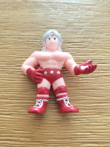 근육맨 완벽 초인 시조편 킨케시 풀컬러 프리미엄 테리맨 단독