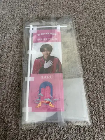 초특급 하루 카시와기 유 미니 족자봉 EBiDAN 에비라이 2025