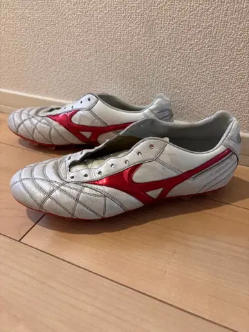 모렐리아 2 JAPAN AG