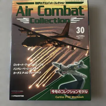 에어 컴뱃 제30호 Curtiss P-40 Warhawk