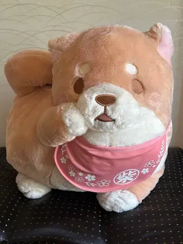 충견 모치시바 봉제 인형 인형뽑기 경품