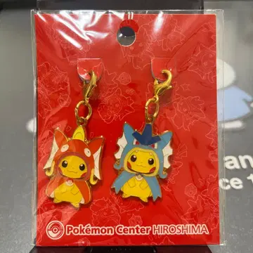 잉어킹 놀이 & 갸라도스 놀이 피카츄 메탈 참