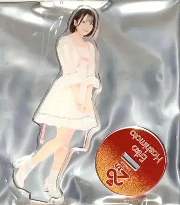 AKB48 SPECIAL 복권 하시모토 에리코 아크릴 스탠드
