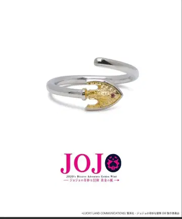 죠죠의 기묘한 모험 스탠드의 화살 반지