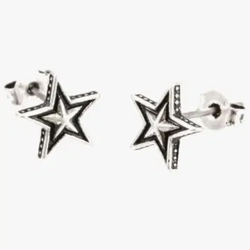 Roen 로엔 실버 컬러 스터드 귀걸이 브라스 티타늄 포스트 별 모양