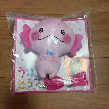 우파고로 패스 케이스