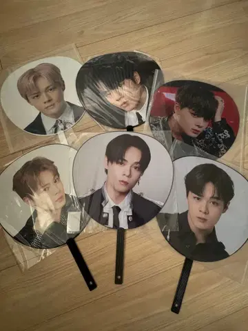 츠루보 시온 부채