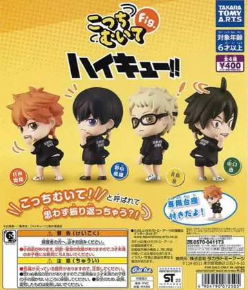 하이큐 이쪽 봐 Fig.