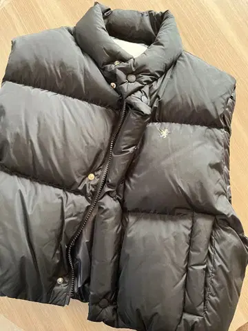 짐플렉스 다운 숏 베스트