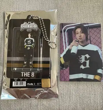 25 SEVENTEEN's HOME 아크릴 키링 트레이딩 카드 THE8