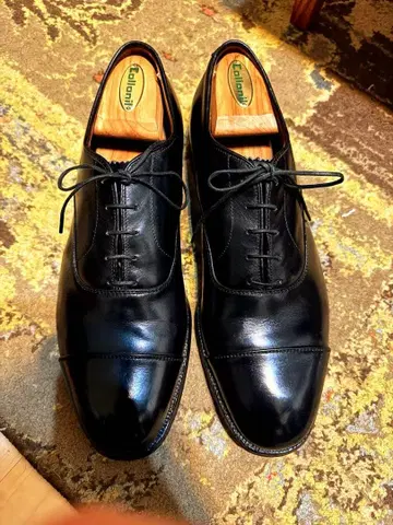 알든 스트레이트 팁 새상품급 US9 1/2 D