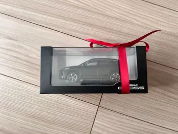 카 크로스 애티튜드 블랙 마이카