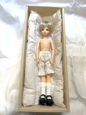 bluefairy tiny fairy louis 인형 본체